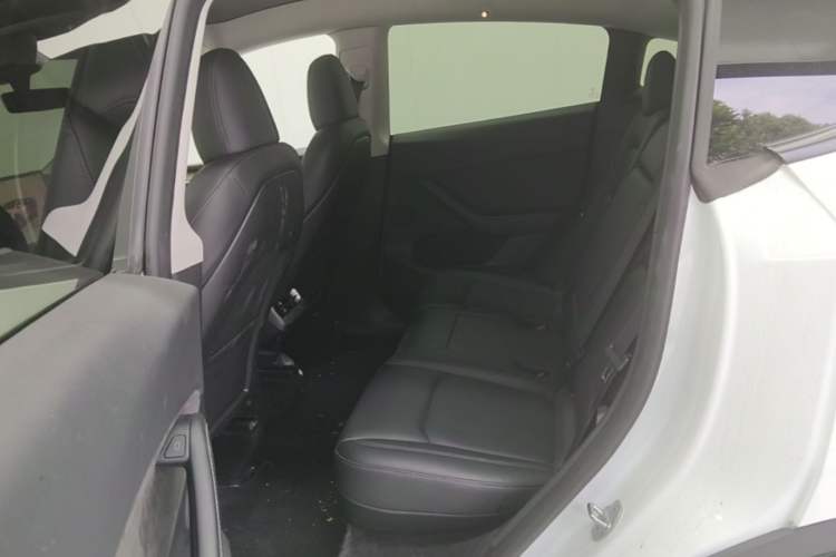 Used Tesla Model Y 2022 Revised Version Long-Range All-Wheel Drive Left Rear Seat