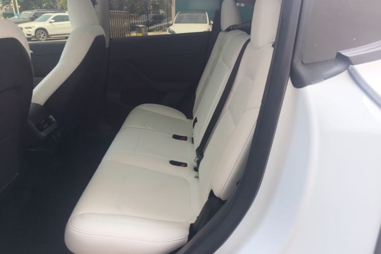 Used Tesla Model Y 2022 Performance High-Performance All-Wheel-Drive Version Left Rear Seat