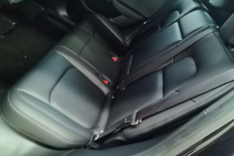 Used Tesla Model Y 2022 Rear-Wheel-Drive Version Left Rear Seat