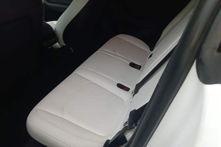 Used Tesla Model Y 2022 Rear-Wheel-Drive Version Left Rear Seat