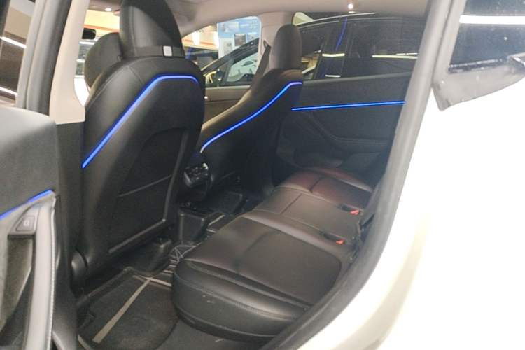 Used Tesla Model Y 2022 Performance High-Performance All-Wheel-Drive Version Left Rear Seat