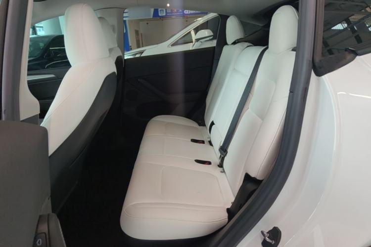 Used Tesla Model Y 2022 Long-Range All-Wheel-Drive Version Left Rear Seat