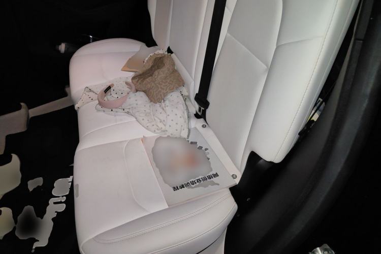 Used Tesla Model Y 2022 Revised Version Rear-Wheel Drive Left Rear Seat