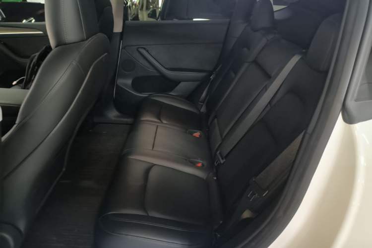 Used Tesla Model Y 2022 Rear-Wheel-Drive Version Left Rear Seat