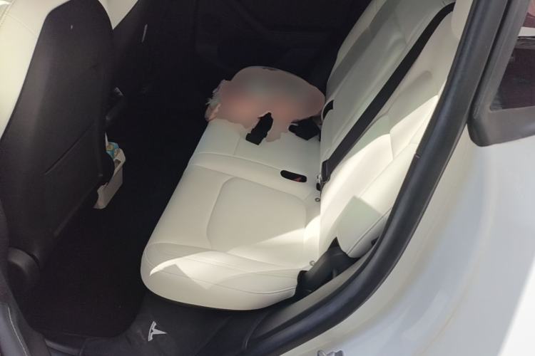Used Tesla Model Y 2022 Rear-Wheel-Drive Version Left Rear Seat