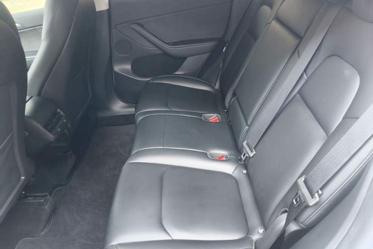 Used Tesla Model Y 2022 Revised Version Rear-Wheel Drive Left Rear Seat