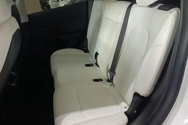 Used Tesla Model Y 2022 Revised Version Rear-Wheel Drive Left Rear Seat