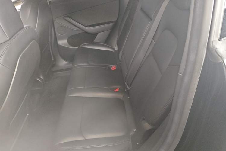 Used Tesla Model Y 2022 Long-Range All-Wheel-Drive Version Left Rear Seat