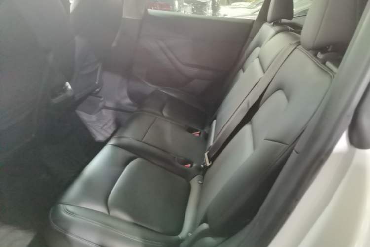 Used Tesla Model Y 2022 Rear-Wheel-Drive Version Left Rear Seat