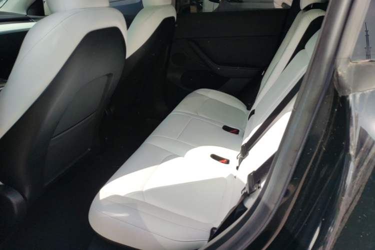 Used Tesla Model Y 2022 Long-Range All-Wheel-Drive Version Left Rear Seat