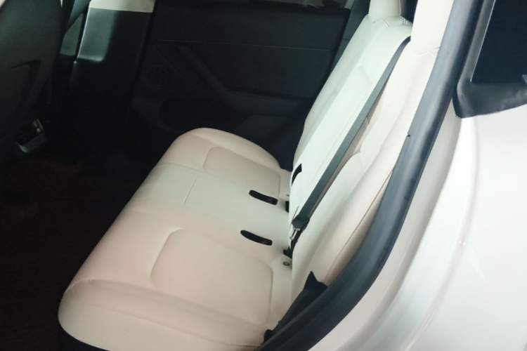 Used Tesla Model Y 2022 Performance High-Performance All-Wheel-Drive Version Left Rear Seat