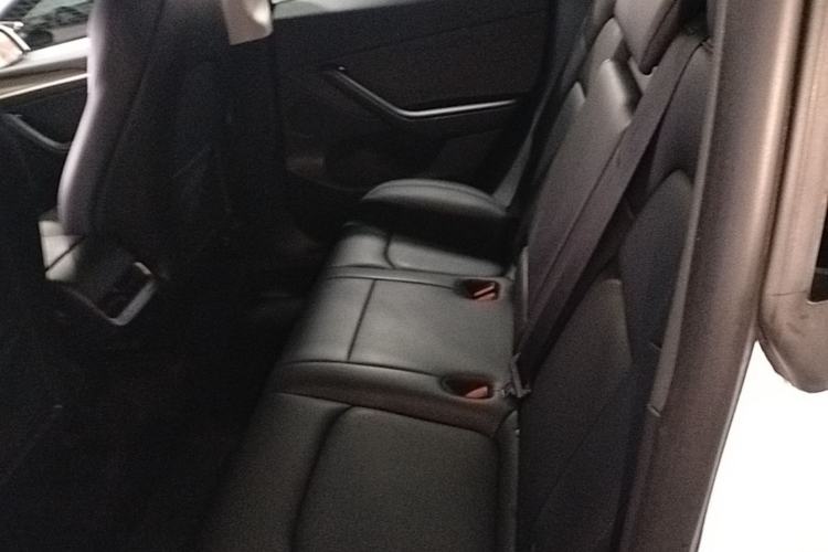 Used Tesla Model Y 2022 Rear-Wheel-Drive Version Left Rear Seat