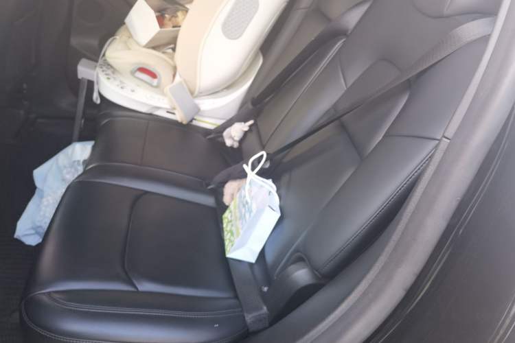 Used Tesla Model Y 2022 Revised Version Rear-Wheel Drive Left Rear Seat