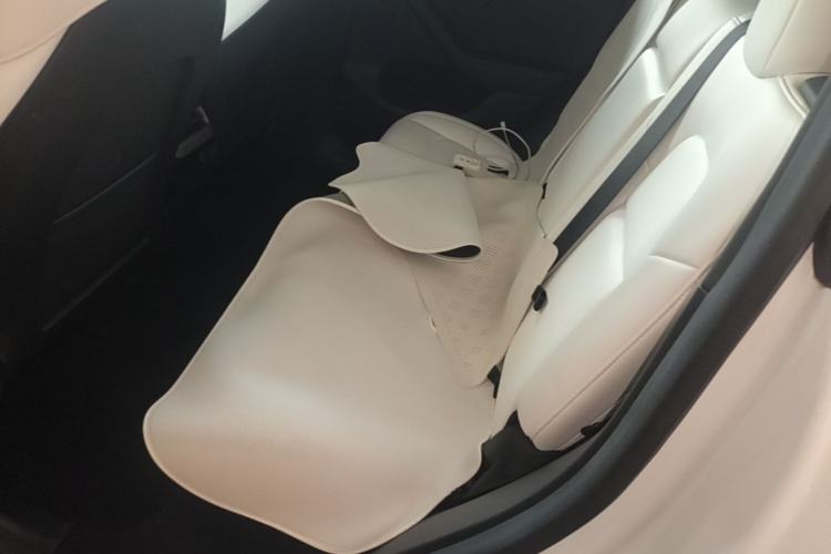 Used Tesla Model Y 2022 Rear-Wheel-Drive Version Left Rear Seat