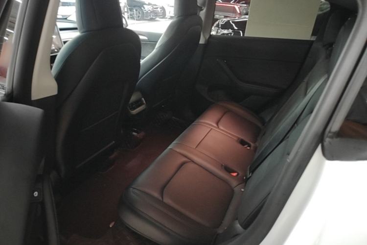 Used Tesla Model Y 2022 Long-Range All-Wheel-Drive Version Left Rear Seat