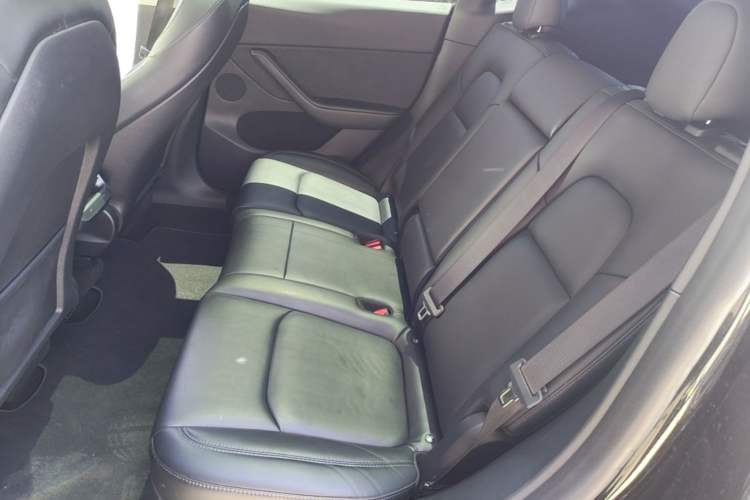 Used Tesla Model Y 2022 Revised Version Long-Range All-Wheel Drive Left Rear Seat