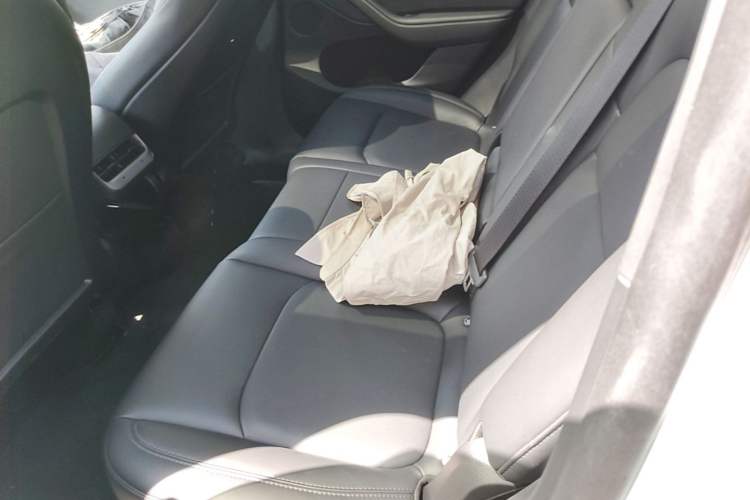 Used Tesla Model Y 2022 Revised Version Rear-Wheel Drive Left Rear Seat