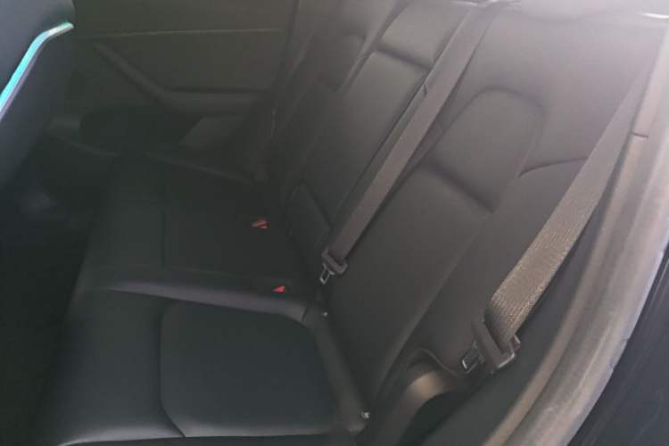 Used Tesla Model Y 2022 Performance High-Performance All-Wheel-Drive Version Left Rear Seat