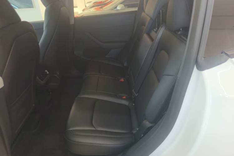 Used Tesla Model Y 2022 Revised Version Long-Range All-Wheel Drive Left Rear Seat
