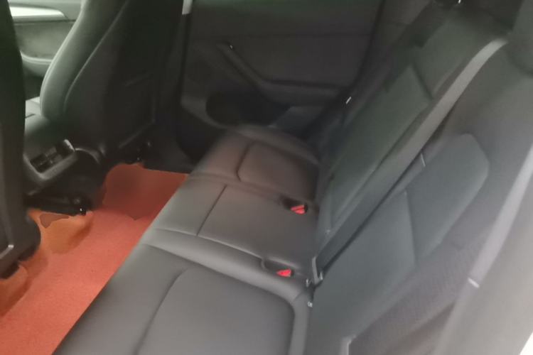 Used Tesla Model Y 2022 Long-Range All-Wheel-Drive Version Left Rear Seat