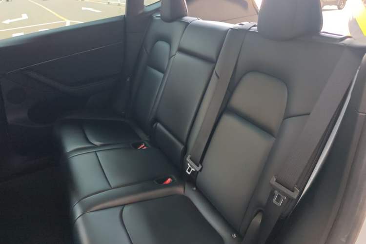 Used Tesla Model Y 2022 Long-Range All-Wheel-Drive Version Left Rear Seat
