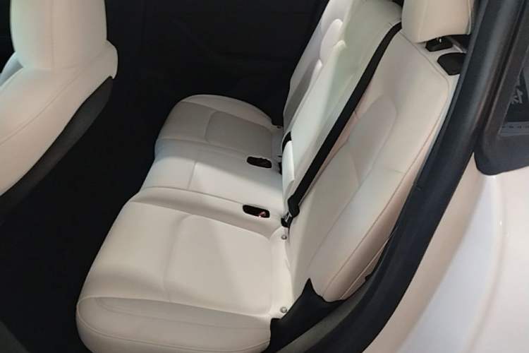 Used Tesla Model Y 2022 Revised Version Rear-Wheel Drive Left Rear Seat