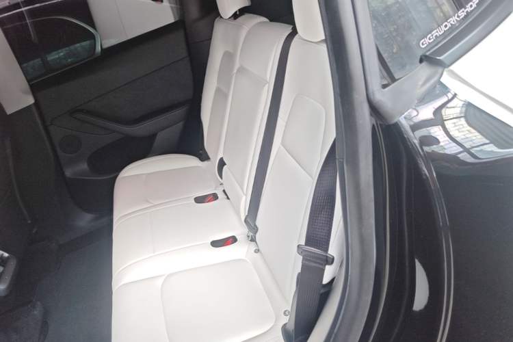 Used Tesla Model Y 2022 Rear-Wheel-Drive Version Left Rear Seat