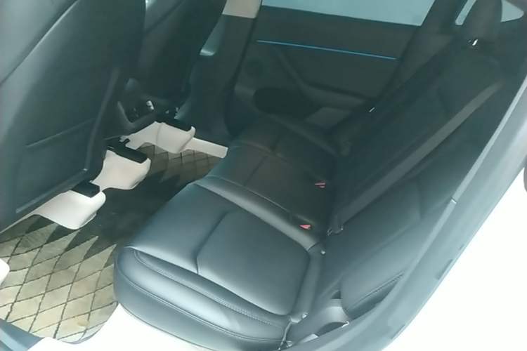 Used Tesla Model Y 2022 Revised Version Rear-Wheel Drive Left Rear Seat