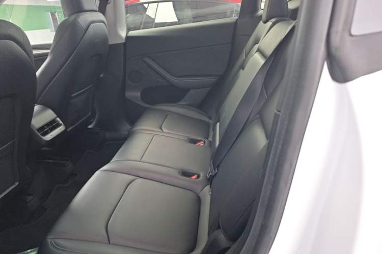Used Tesla Model Y 2022 Revised Version Rear-Wheel Drive Left Rear Seat