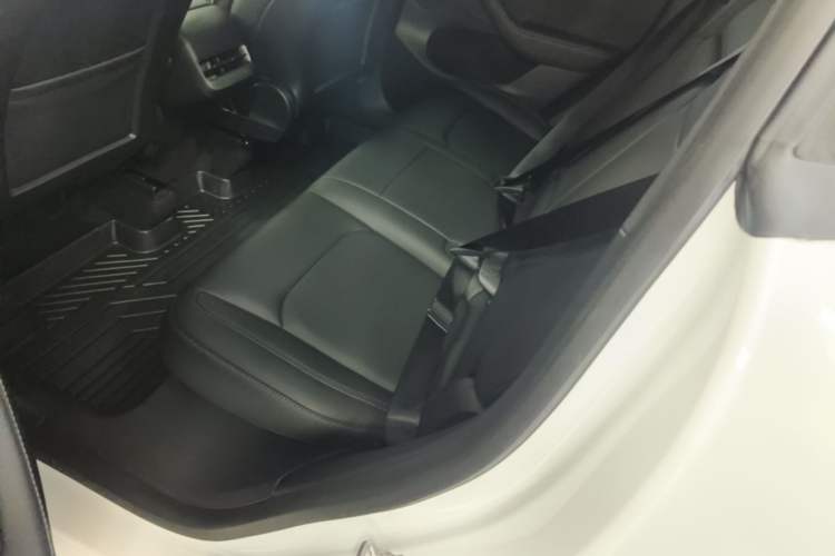 Used Tesla Model Y 2022 Rear-Wheel-Drive Version Left Rear Seat