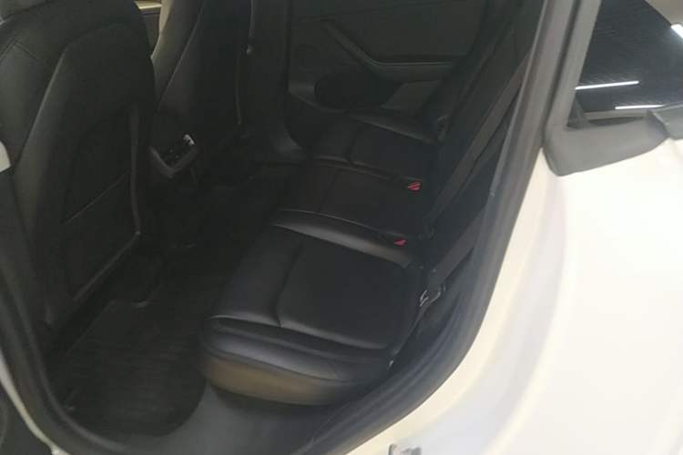Used Tesla Model Y 2022 Rear-Wheel-Drive Version Left Rear Seat