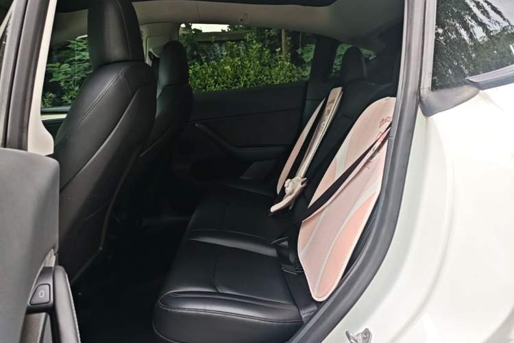 Used Tesla Model Y 2022 Rear-Wheel-Drive Version Left Rear Seat