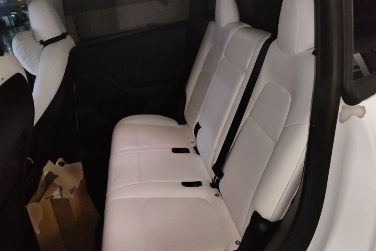 Used Tesla Model Y 2022 Revised Version Rear-Wheel Drive Left Rear Seat
