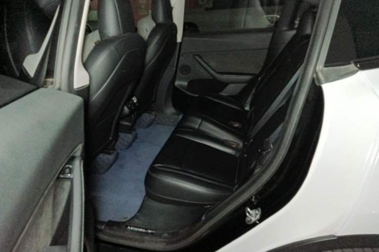 Used Tesla Model Y 2022 Rear-Wheel-Drive Version Left Rear Seat