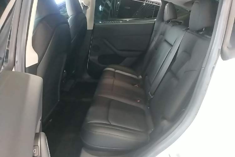 Used Tesla Model Y 2022 Long-Range All-Wheel-Drive Version Left Rear Seat