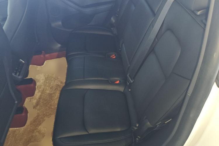 Used Tesla Model Y 2022 Revised Version Long-Range All-Wheel Drive Left Rear Seat