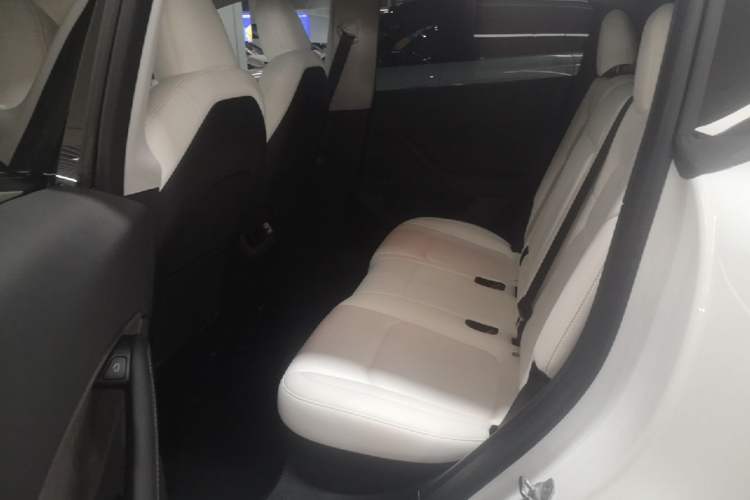 Used Tesla Model Y 2022 Revised Version Rear-Wheel Drive Left Rear Seat