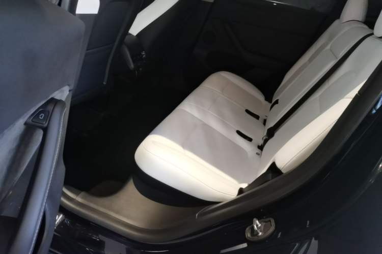 Used Tesla Model Y 2022 Rear-Wheel-Drive Version Left Rear Seat