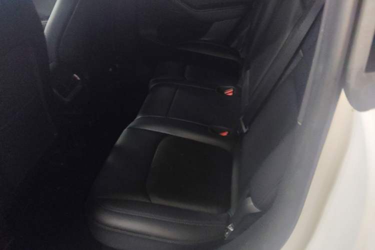 Used Tesla Model Y 2022 Revised Version Rear-Wheel Drive Left Rear Seat