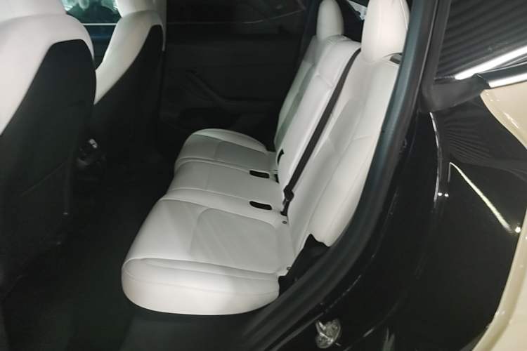Used Tesla Model Y 2022 Revised Version Rear-Wheel Drive Left Rear Seat
