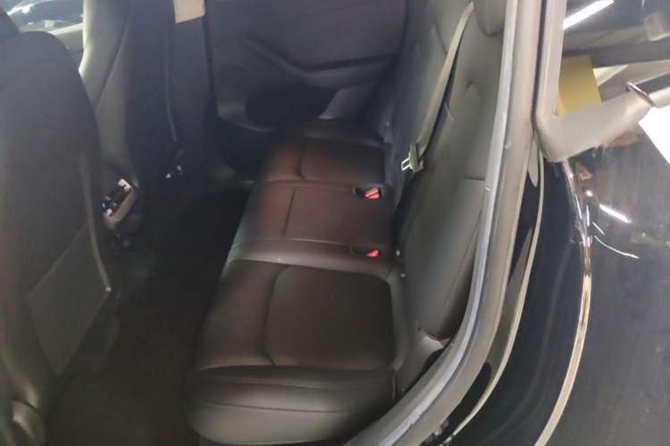 Used Tesla Model Y 2022 Long-Range All-Wheel-Drive Version Left Rear Seat