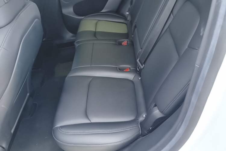 Used Tesla Model Y 2022 Revised Version Rear-Wheel Drive Left Rear Seat