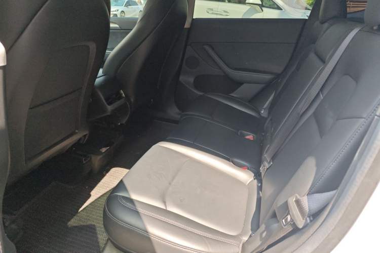 Used Tesla Model Y 2022 Long-Range All-Wheel-Drive Version Left Rear Seat