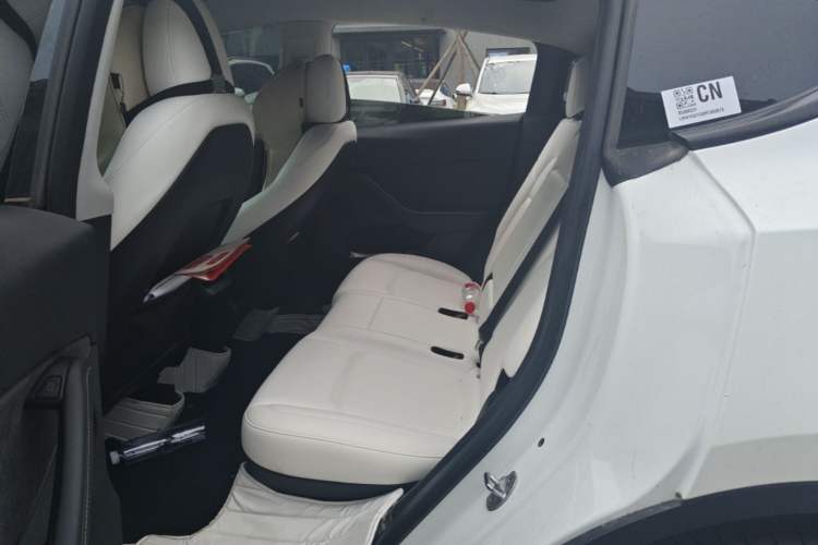 Used Tesla Model Y 2022 Revised Version Rear-Wheel Drive Left Rear Seat