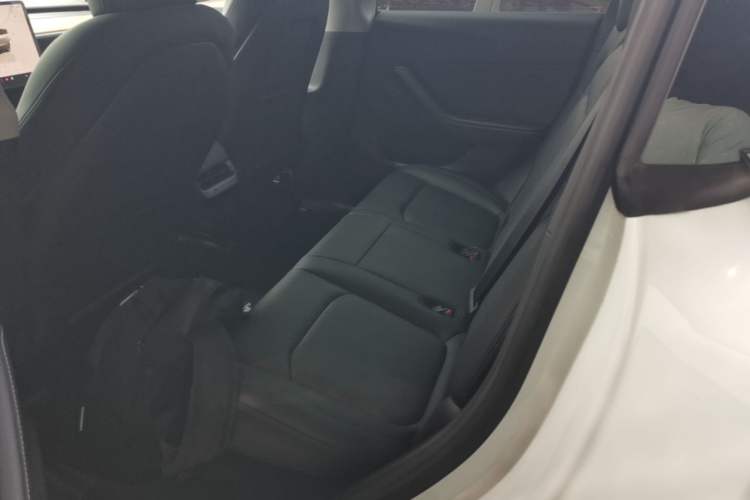 Used Tesla Model Y 2022 Rear-Wheel-Drive Version Left Rear Seat