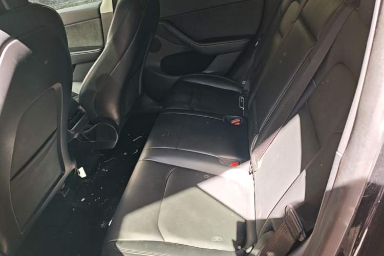 Used Tesla Model Y 2022 Rear-Wheel-Drive Version Left Rear Seat