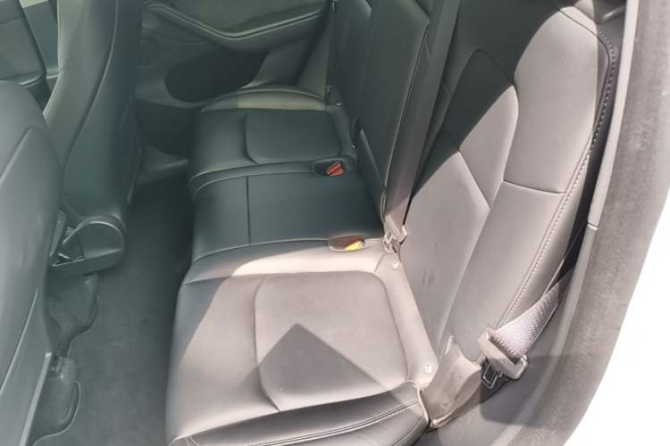 Used Tesla Model Y 2022 Revised Version Rear-Wheel Drive Left Rear Seat