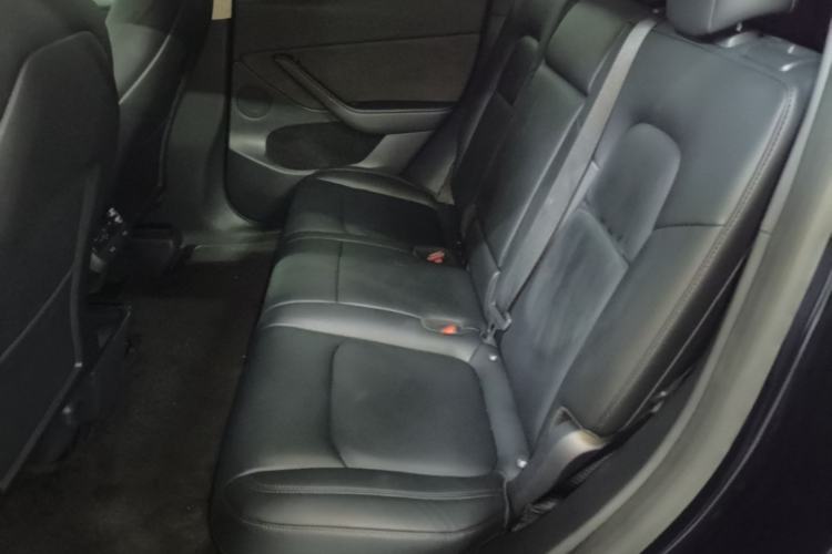 Used Tesla Model Y 2022 Rear-Wheel-Drive Version Left Rear Seat
