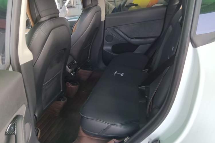 Used Tesla Model Y 2022 Long-Range All-Wheel-Drive Version Left Rear Seat