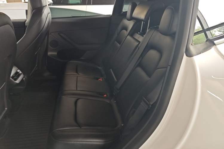 Used Tesla Model Y 2022 Long-Range All-Wheel-Drive Version Left Rear Seat